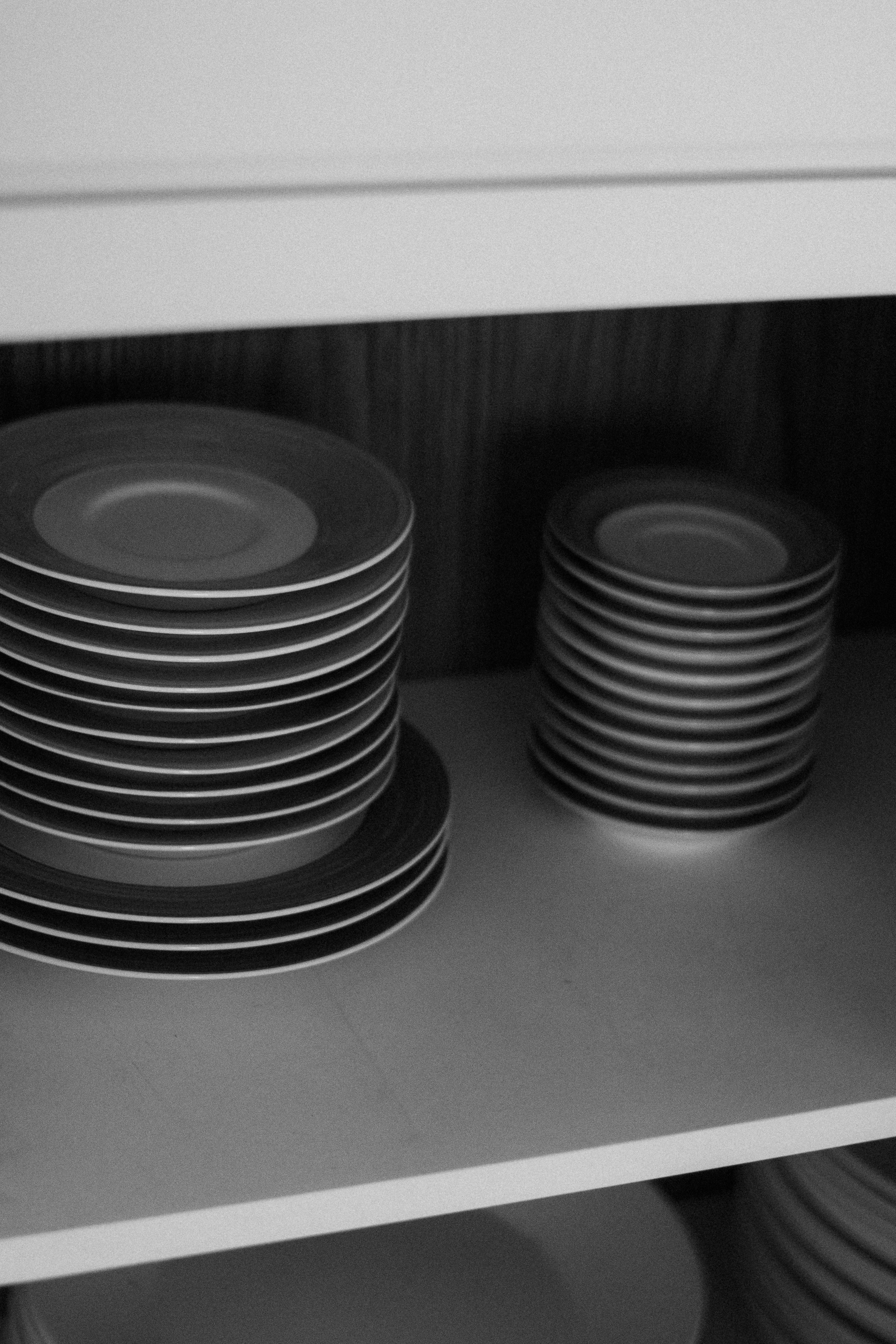 DISH RACK